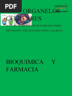 Organelos Celulares de Biofisica