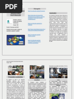 Triptico Prevencion de Los Desastres Naturales