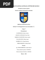 Informe de Invernadero de Rosas