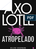 1º Cap Axolotle Atropelado