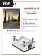 LAB14 Hidraulica