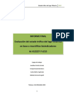 Informe Final Estado Trófico Lago Villarrica