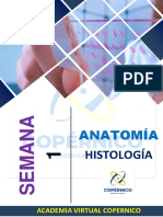 Histologia - Material Practico