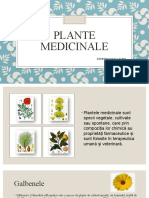 Plante Medicinale