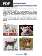 Perros Peligrosos