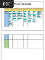 Ficha Plan de Vida Saludable