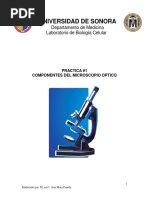 Practica 1, Manejo y Uso Del Microscopio