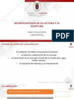 Neurofisiología de La Lectoescritura TEORIA