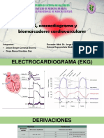 EKG y Ecocardio