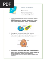 Actividad N°3 (Taller)