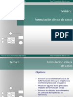 Tema 5 Formulacion