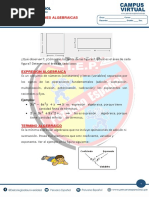 Algebra 1° Sec Campus Virtual - Unidad I