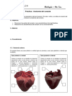 Práctica - 4to