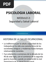 Seguridad y Salud Laboral