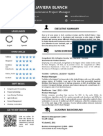 Free CV Template 13