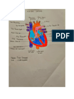 Tugas - Fitri Ernawati - Anatomi Fisiologi Kardiovaskuler - 2022