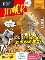 Visão Júnior