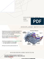 Golgi Body, Rer & Ser
