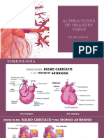 Alteraciones de Grandes Vasos