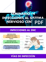 Seminario 4 Infecciones Al Sistema Nervioso Central