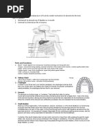 Digestive System