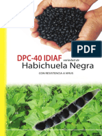 Habichuela Negra DPC 40