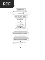 PATHOPHYSIOLOGY Urti