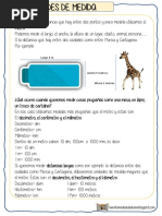 Unidades de Medida Longitud