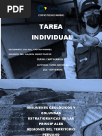 Tarea Individual - Castro - Cartografia II