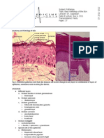 2011-07-PATHO-Basic Pathology of Skin