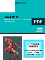 Clase 24 Pelvis