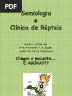 Semiologia e Clínica de Répteis - Alessandro F. A. Bijjeni