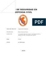 Modelo de Cartilla Seguridad Carpinteria