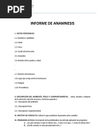 Informe de La Anamnesis