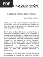 El Objetivo Central de La Consulta