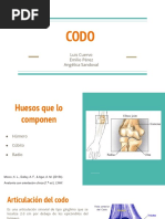 CODO