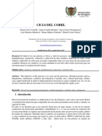 Informe Ciclo Del Cobre