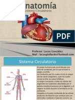 17 Sistema Circulatorio