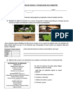 Evaluación de Ciencia y Tecnología de Ii Bimestre