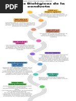 Linea Del Tiempo de La Psicofisiología