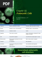 MicroPara 03 - Prokaryotic Cells