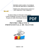 Ghid Practica Profesionala Master