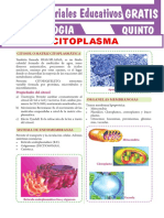 El Citoplasma para Quinto Grado de Secundaria