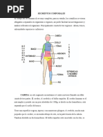 Segmentos Corporales