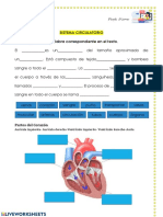 Semana Corazòn