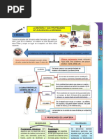 Cartilla Ciencias Naturales - 11