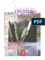 Anfibios y Reptiles - Cuadernos Del Potrerillo de Santa Teresa Forni PDF