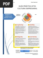 Guía Práctica #01