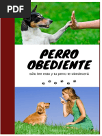 Perro Obediente