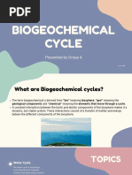 Biogeochemical Cycles